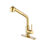 Single-Handle Pull-Out Laundry Faucet Dual Spray Stainless Gold