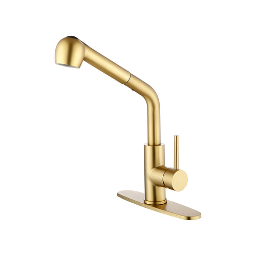 Single-Handle Pull-Out Laundry Faucet Dual Spray Stainless Gold
