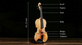 Professional 4/4 Full-Size Violin - Premium Sound