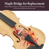 Professional 4/4 Full-Size Violin - Premium Sound