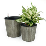 2-Pack Round Self-Watering Wicker Planter Grey Indoor Outdoor