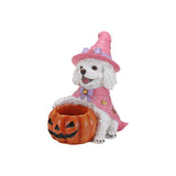 Halloween White Teddy Puppy Figurine, Witch Dog Holding Pumpkin Candy Bowl Decor
