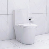 Elongated One Piece Toilet White