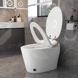 Unique Smart Toile, One Piece Toilet with Bidet Built