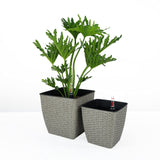 Hand Woven Wicker Self-Watering Planter - Thin Square 2-Pack