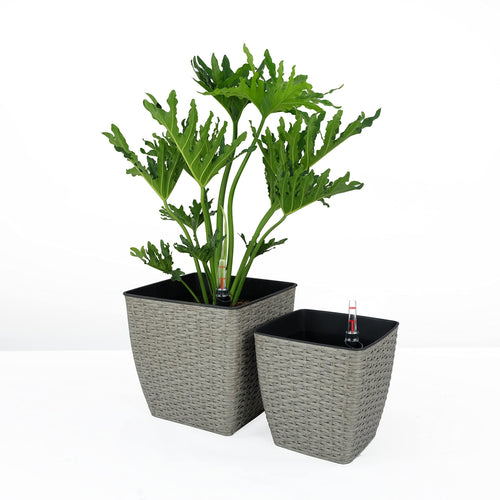 Hand Woven Wicker Self-Watering Planter - Thin Square 2-Pack