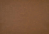 25593736