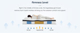 Queen Size 10 Inch Hybrid Mattress Pocketed Innerspring Medium Firm