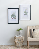 19.7x27.6' Botanical Wall Arts, Home Decor for Living Room, Dining Room, Bedroom