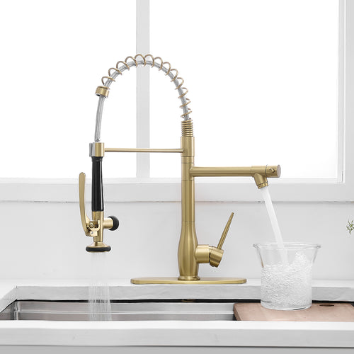 Brushed Gold Kitchen Faucet Pull Down Sprayer Single Handle