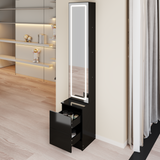 LED Dressing Mirror Cabinet with Storage, Adjustable Brightness