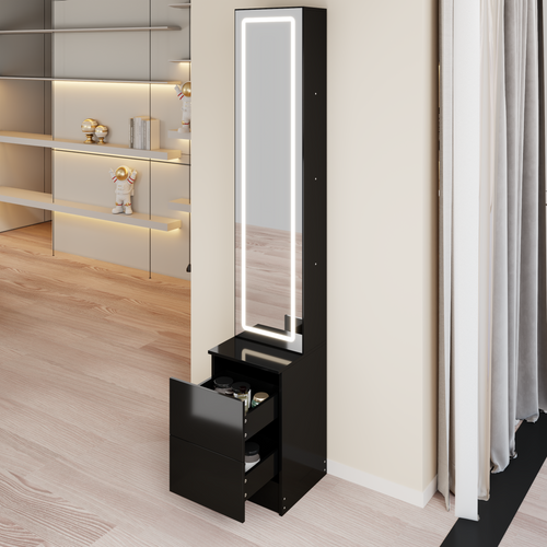 LED Dressing Mirror Cabinet with Storage, Adjustable Brightness