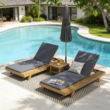 25248953