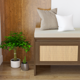 PP Rattan Storage Bench with Cushion, Faux Rattan Shoe Cabinet with 2 Doors
