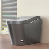 Tankless Modern Smart Toilet With Bidet, Auto Flush, Auto Open/Close