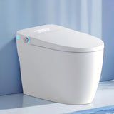 Tankless Smart Toilet With Bidet Built In, One-piece Bidet Toilet Seat