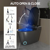 Unique Smart Toile, One Piece Toilet with Bidet Built