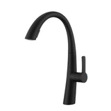 Matte Black Pull Out Kitchen Faucet 360 Dual Mode