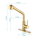 Single Handle Kitchen Sink Faucet Pull Out Sprayer