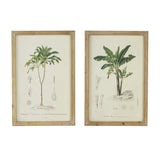 Set of 2 Tree Framed Prints, 15.5x23.5 inches