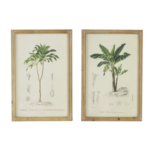 Set of 2 Tree Framed Prints, 15.5x23.5 inches