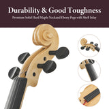 Professional 4/4 Full-Size Violin - Premium Sound