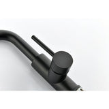 Single Handle Kitchen Sink Faucet With Pull Out Sprayer