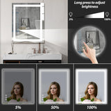 25619204