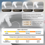 Tankless Smart Toilet With Bidet Built In, One-piece Bidet Toilet Seat