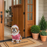 Christmas Pug Statue, Holiday Dog Figurine in Pink Santa Outfit