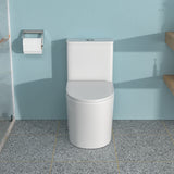 Ceramic One Piece Toilet for Bathroom, 12-inch Rough-In, 1.1/1.6 GPF