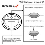 25629524