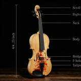 Professional 4/4 Full-Size Violin - Premium Sound