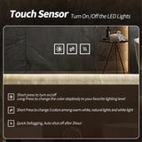 25656666