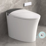Smart Toilet Bidet Elongated ADA Height Heated Seat Dual Flush