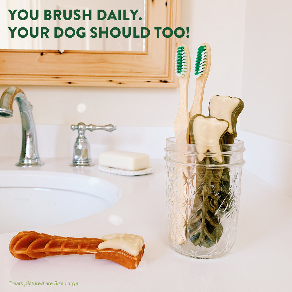 WHMZ DNTL CHW MEDIUM 7CT ( 4 X 7.4 OZ   )-5