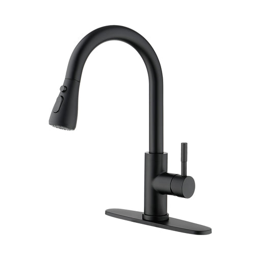 Kitchen Faucet with Pull Out Sprayer