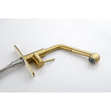 Single Handle Kitchen Sink Faucet Pull Out Sprayer