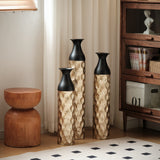 25567709