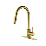 Kitchen Faucet with Pull Down Sprayer
