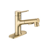 Brushed Gold Single Handle Pull Out Sprayer Bathroom Faucet