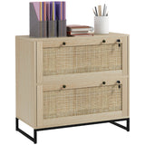 2 Drawer Vertical File Cabinet with Lock and Rattan Drawers