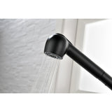 Single Handle Kitchen Sink Faucet With Pull Out Sprayer
