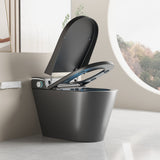Unique Smart Toile, One Piece Toilet with Bidet Built