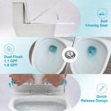 Ceramic One Piece Toilet for Bathroom, 12-inch Rough-In, 1.1/1.6 GPF