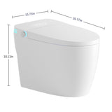 Tankless Smart Toilet With Bidet Built In, One-piece Bidet Toilet Seat