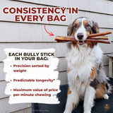 12 Inch Standard Bully Stick