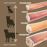 12 Inch Thick Bully Stick