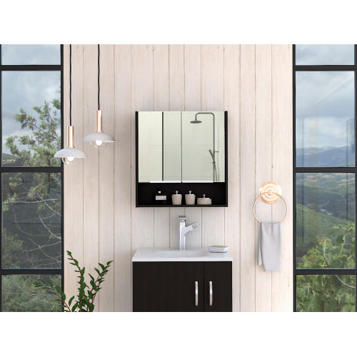 Mirror Cabinet - Double Door - Black - Open Shelf - 23.6" x 24.6"