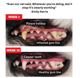 Strawberry Himalayan Yak Chew (MEDIUM)
